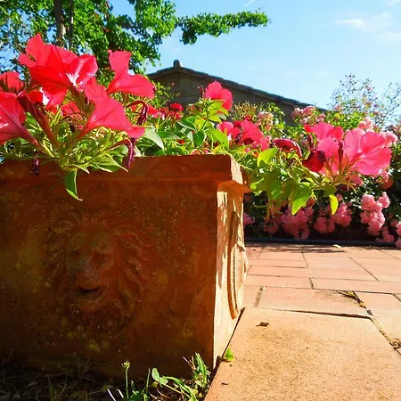 Agriturismo Boriano