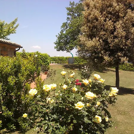 乡村民宿 Agriturismo Boriano